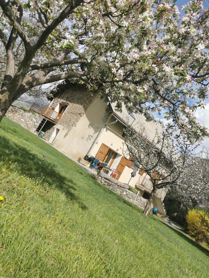 Chambres D'Hotes Les Peschiers Chateauroux-les-Alpes Eksteriør billede